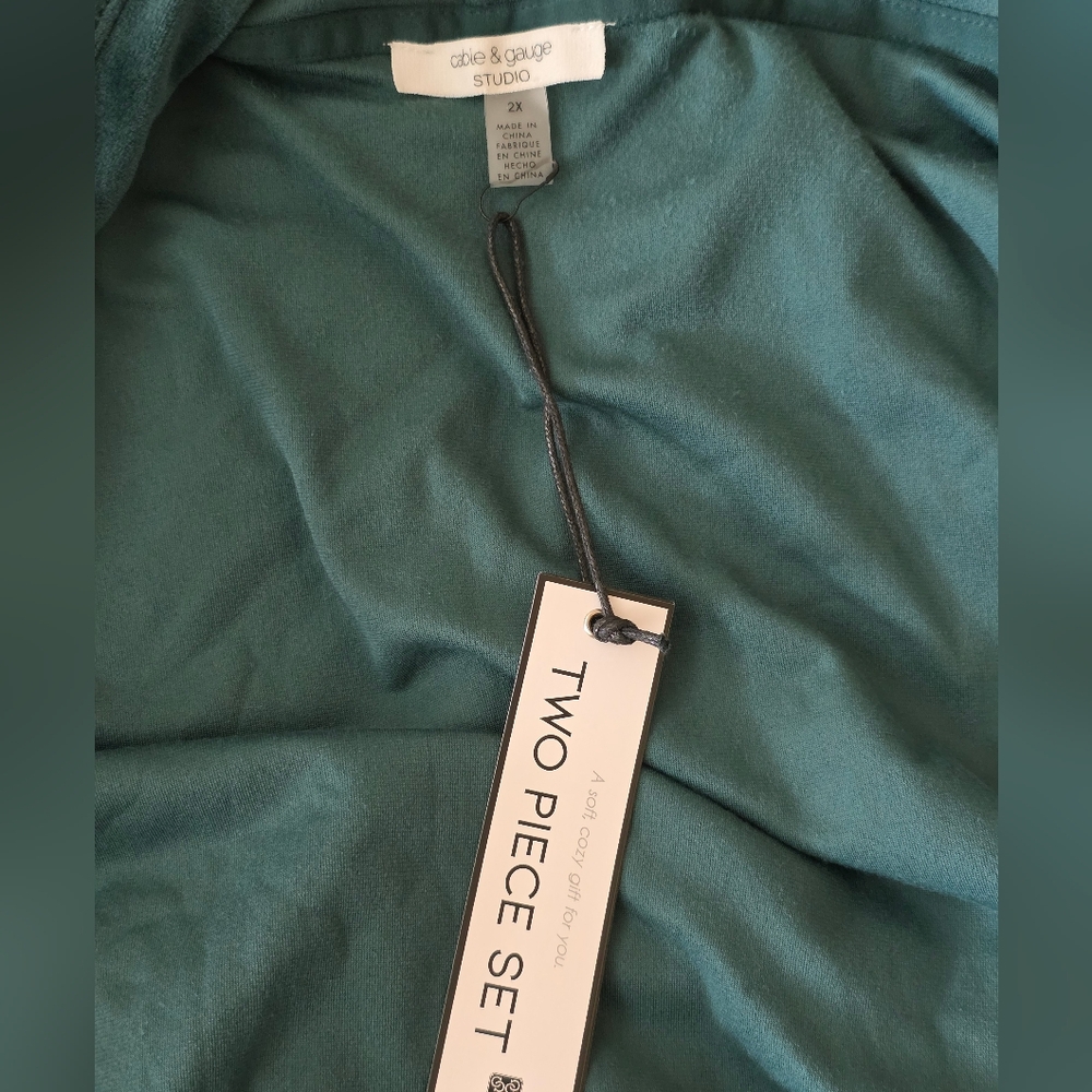 Cable & Gauge Botanical Garden Green Velour Hoodie Jogger Set, Size 2X - Picture 7 of 9